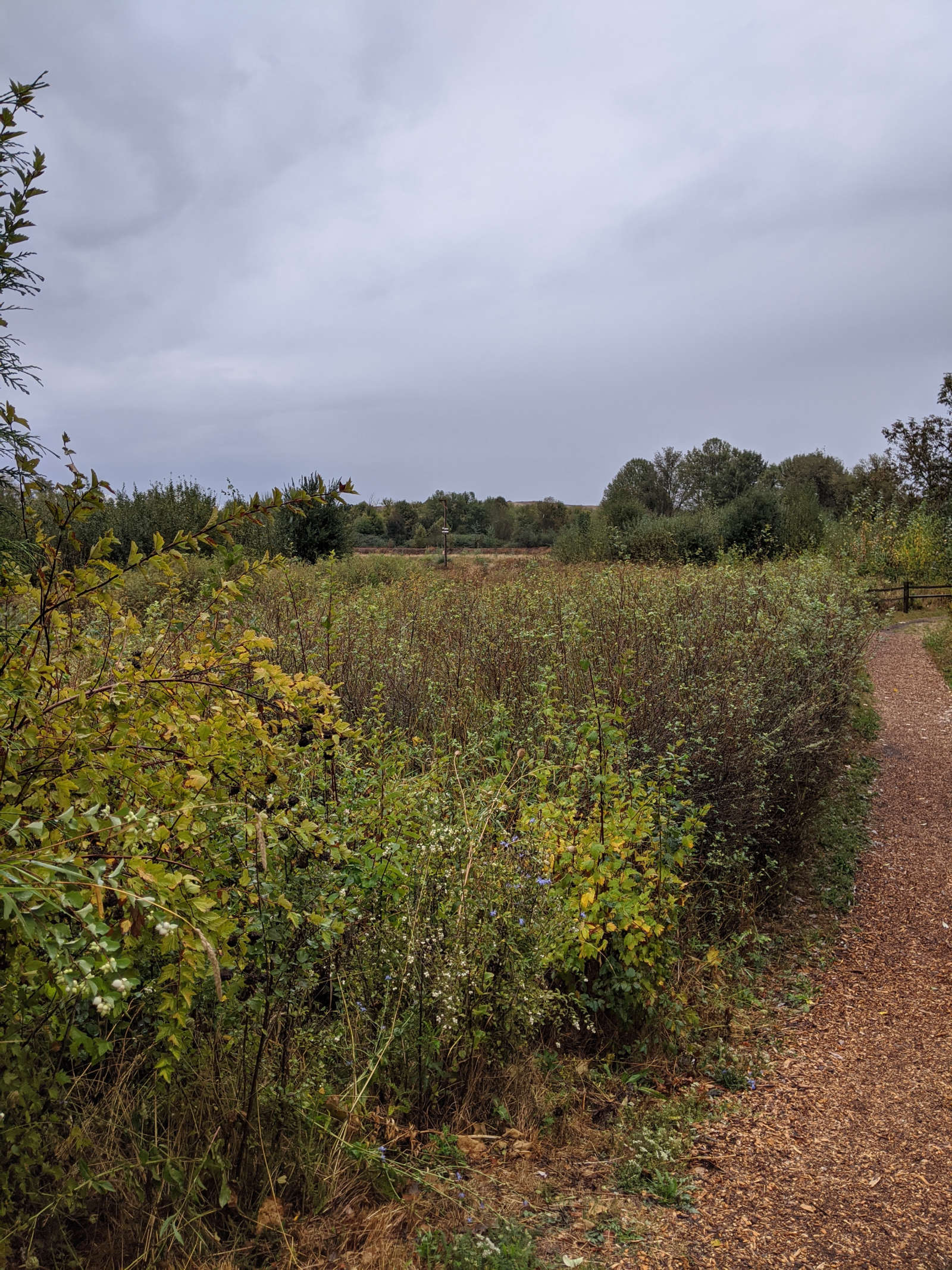 Path